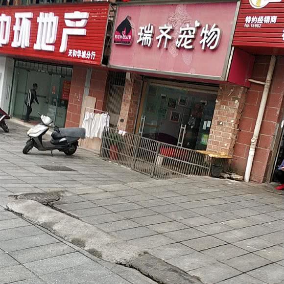 瑞齐宠物:长沙市长沙县长沙县附近