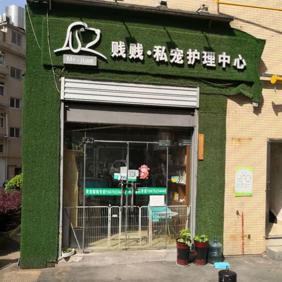 灵宠猫狗专卖:长沙市长沙县长沙县附近