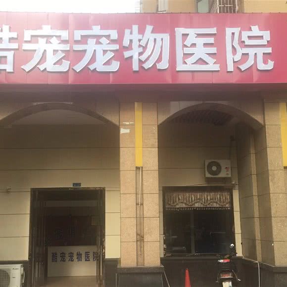 酷宠宠物俱乐部:长沙市长沙县长沙县附近