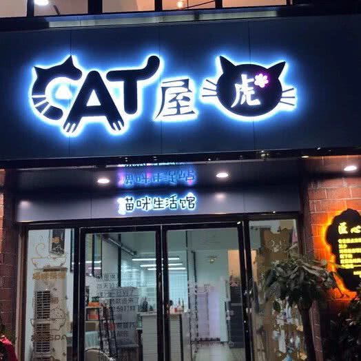 屋虎猫咪生活馆(一家猫店):长沙市长沙县长沙县附近