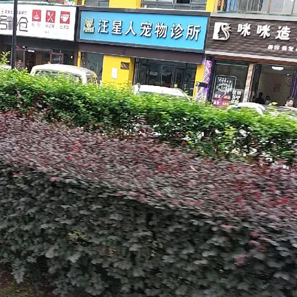 汪星人宠物诊所:长沙市长沙县长沙县附近