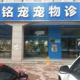 铭宠狗狗诊所:长沙市长沙县长沙县附近