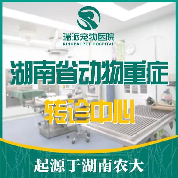 瑞派普悦动物医院·免疫点:长沙市长沙县长沙县附近