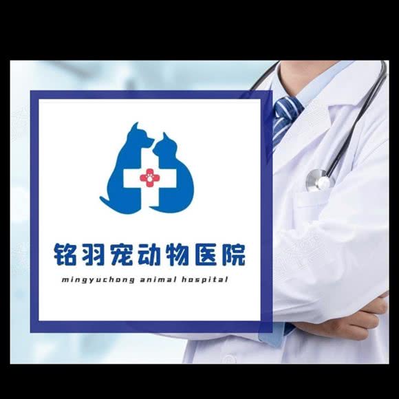 铭羽宠动物医院·免疫点:长沙市长沙县长沙县附近