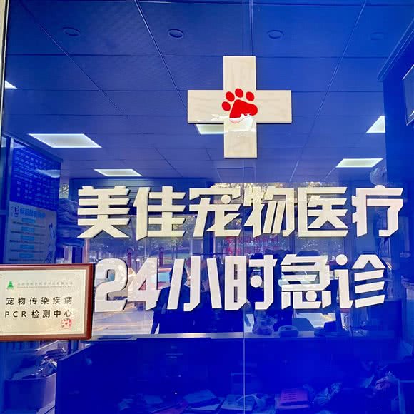 美佳宠物医疗24小时:长沙市长沙县长沙县附近