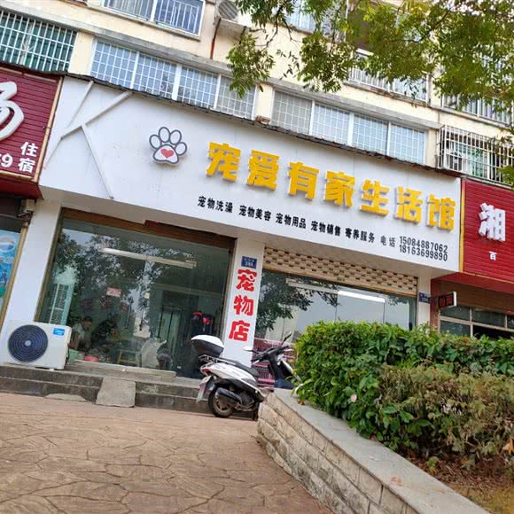 宠爱有家生活馆:长沙市浏阳市洞阳镇附近