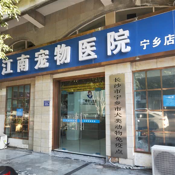 江南宠物医院(宁乡店):长沙市宁乡市玉潭镇附近