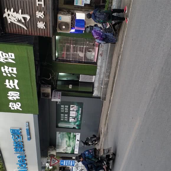 九零后宠物生活馆:株洲市荷塘区华润万家附近