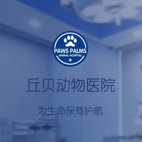 丘贝宠物医院·猫科犬科:株洲市荷塘区红旗广场附近