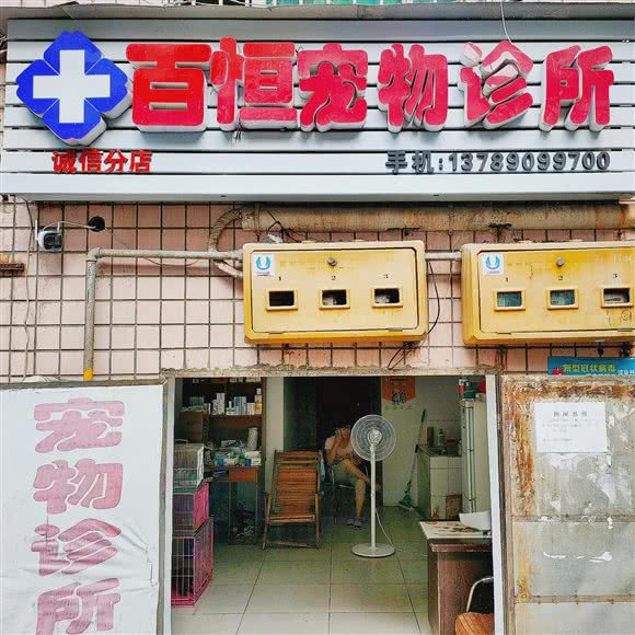 百恒宠物诊所(诚信分店):株洲市芦淞区七星潮流购物广场附近