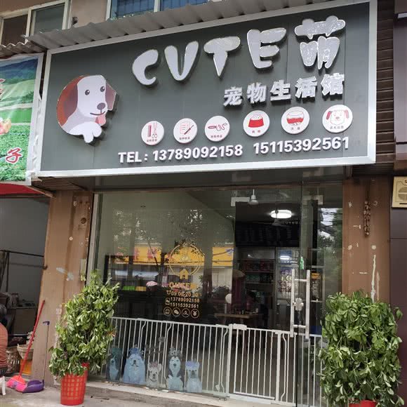 cute萌宠物生活馆:株洲市石峰区田心附近