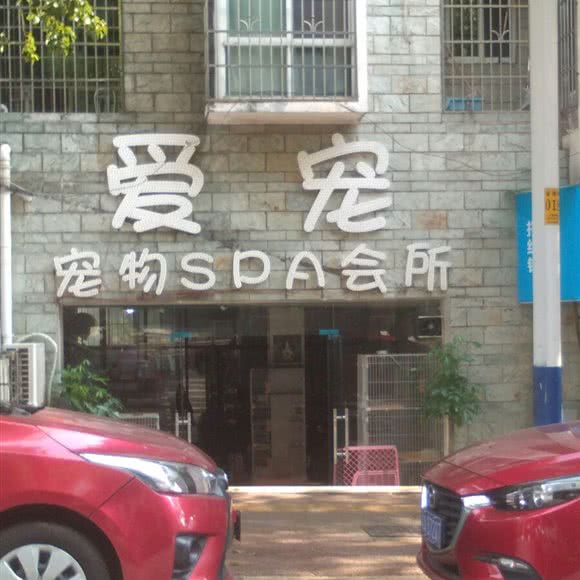 爱宠:株洲市天元区沿江风光带附近