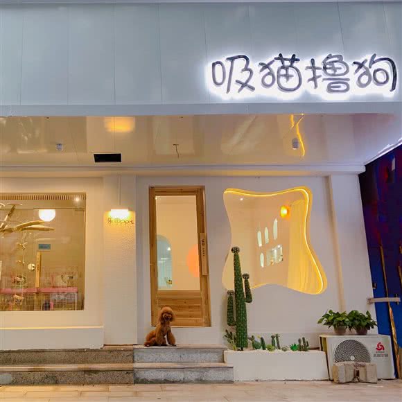 乐园宠物(河西店):湘潭市雨湖区护潭广场附近