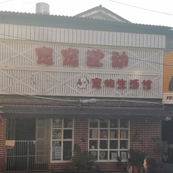 宠宠欲动宠物生活馆:湘潭市岳塘区建设路附近