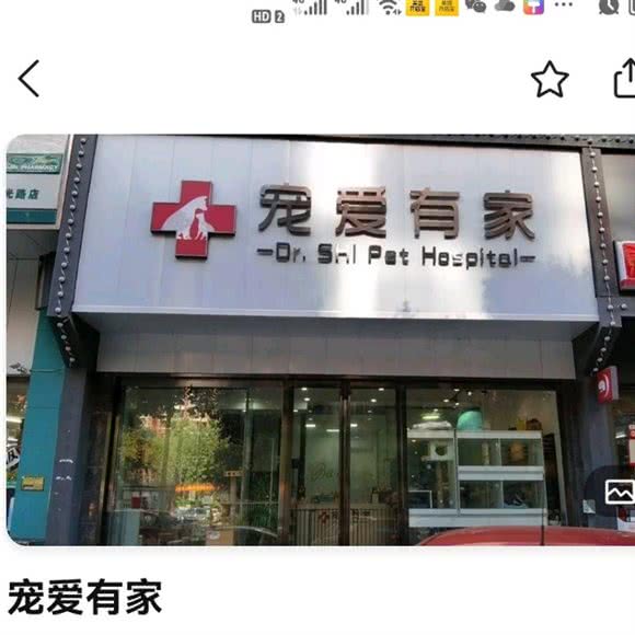 宠爱有家宠物医院:湘潭市岳塘区河东大道附近