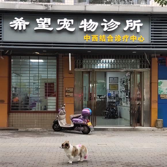 希望宠物诊所:湘潭市岳塘区芙蓉路附近