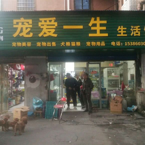 宠爱一生生活馆:衡阳市石鼓区石鼓广场附近