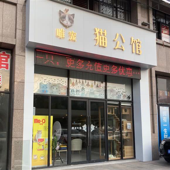 唯宠猫公馆:衡阳市蒸湘区华新开发区附近