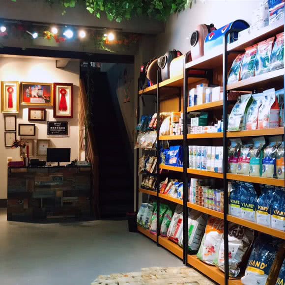 香港乐高宠物(衡阳旗舰店):衡阳市蒸湘区船山实验中学/市一中附近