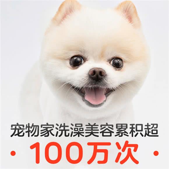 宠物家(上东8号店):北京城区朝阳区酒仙桥附近