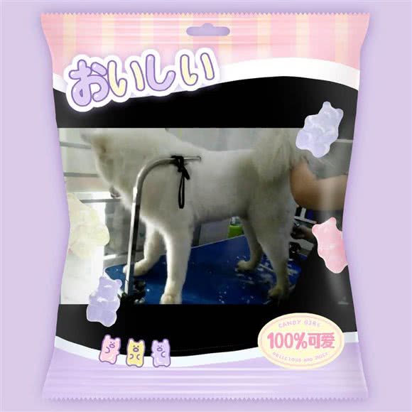 毛小孩宠物生活馆:衡阳市蒸湘区船山实验中学/市一中附近