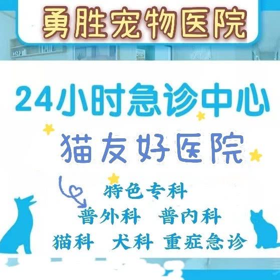 勇胜宠物医院:衡阳市蒸湘区立新开发区附近