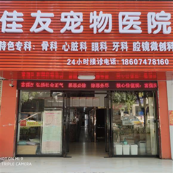 佳友宠物医院(立新大道店):衡阳市蒸湘区立新开发区附近