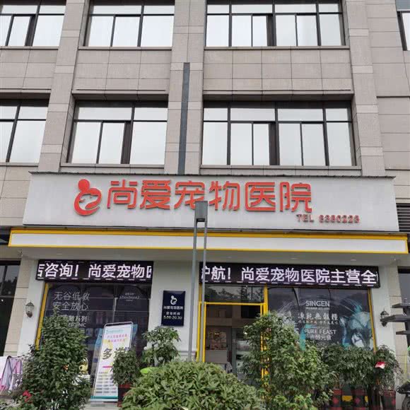 尚爱宠物医院(华新店):衡阳市蒸湘区星美/美凯龙附近