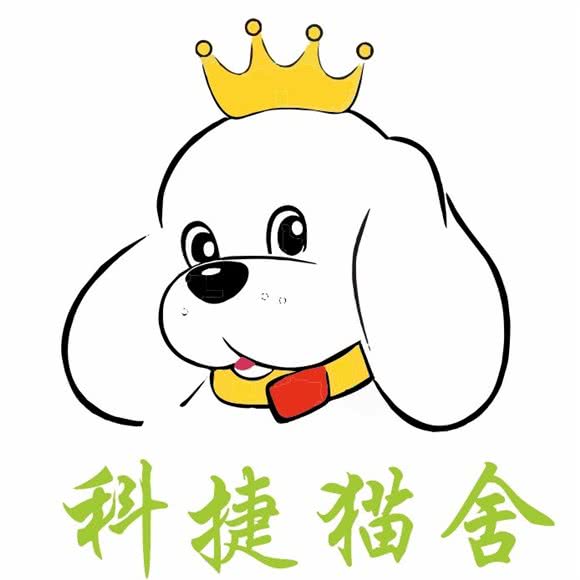 科捷猫舍:邵阳市邵东市邵东市附近
