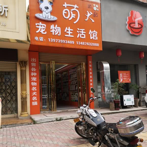 萌犬宠物生活馆:邵阳市邵东市邵东市附近