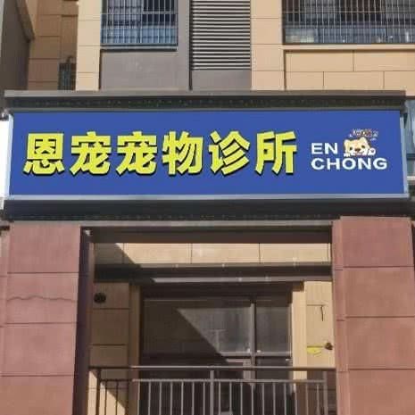 恩宠宠物诊所:岳阳市岳阳楼区八字门附近