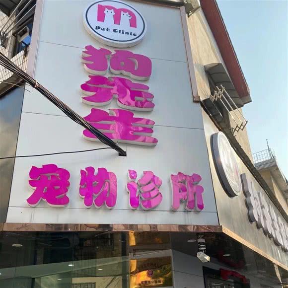 德山狗先生宠物诊所:常德市武陵区德山十字路口附近