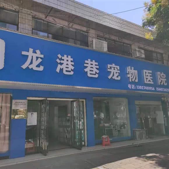 龙港巷宠物医院(富强社区店):常德市武陵区三岔路附近
