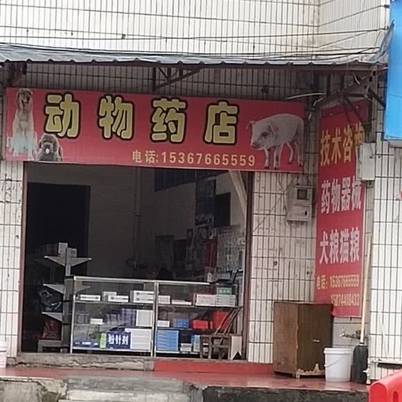 动物药店:张家界市永定区市一中/崇文路附近