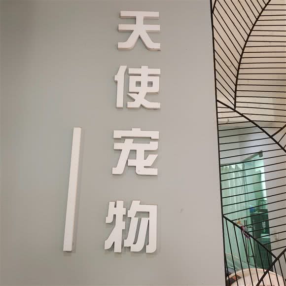 天使宠物医院:张家界市永定区紫舞公园附近