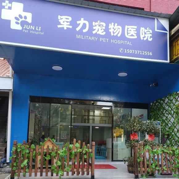 军力宠物医院:益阳市赫山区工艺美大附近