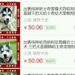 哗众Qu宠狗狗俱乐部:益阳市赫山区桥南附近