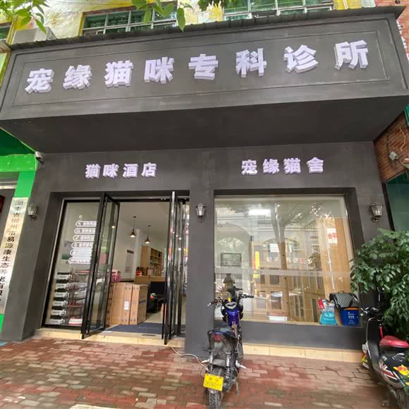 宠缘宠物医院·猫舍:郴州市北湖区青年大道附近