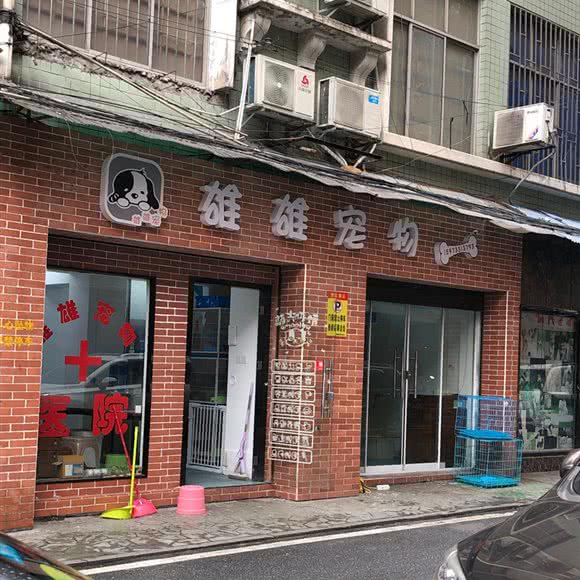雄雄宠物:郴州市苏仙区苏仙区中心城区附近