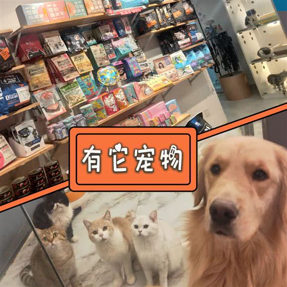 有它宠物生活馆:天津城区西青区西青大学城附近