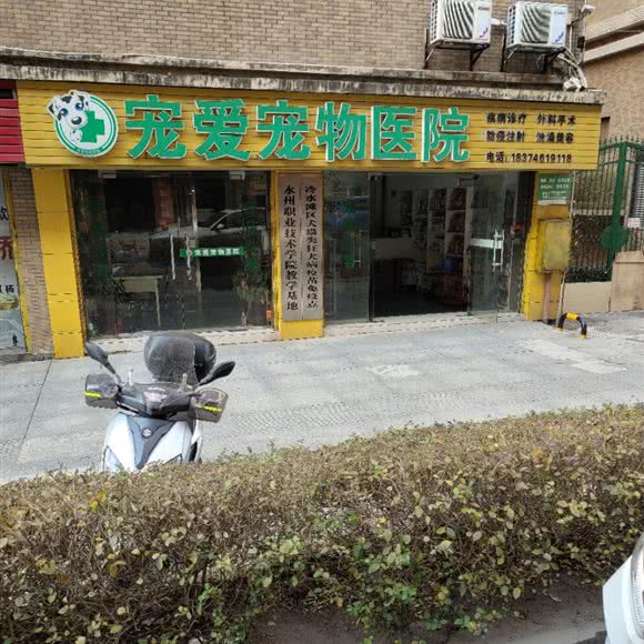 宠爱宠物医院:永州市冷水滩区湘江东路附近