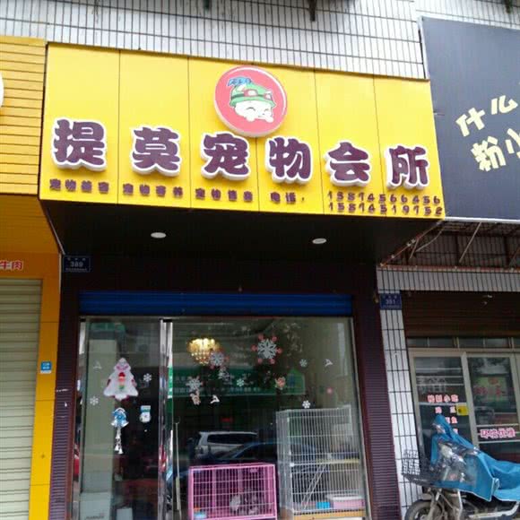 提莫宠物会所:怀化市鹤城区湖天一色附近