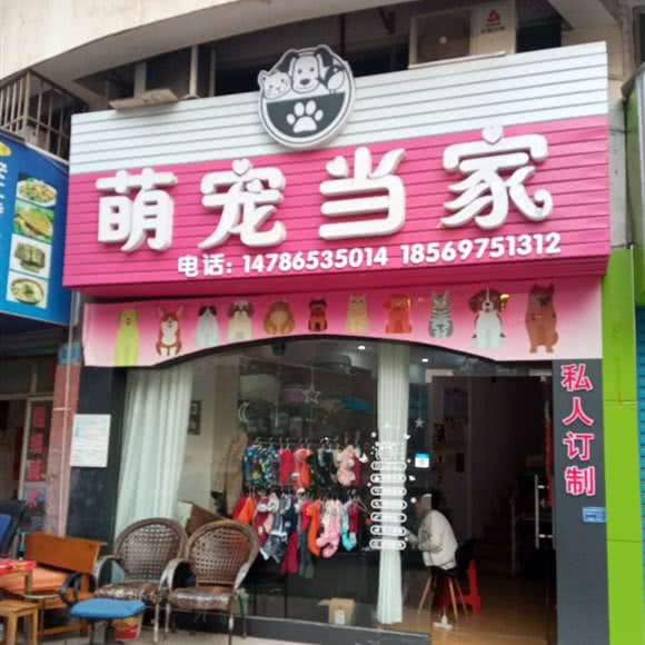 萌宠当家:怀化市鹤城区湖天一色附近