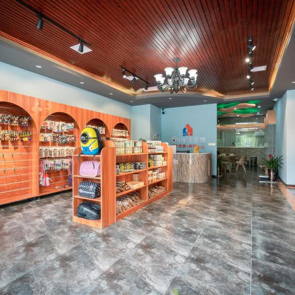 壹家宠物(河西店):怀化市鹤城区河西附近