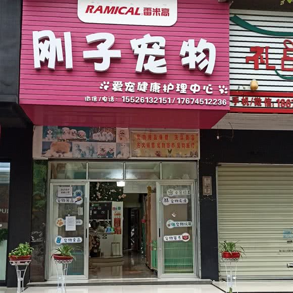 刚子宠物:怀化市鹤城区河西附近