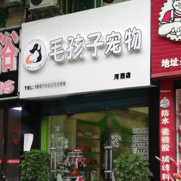 毛孩子宠物(河西店):怀化市鹤城区河西附近