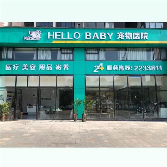 Hello baby宠物医院:怀化市鹤城区体育中心附近
