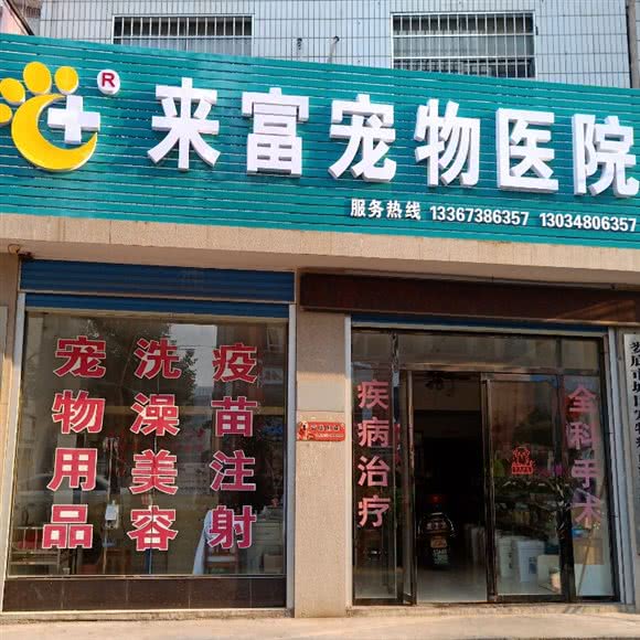 来富宠物医院:娄底市娄星区人文科技学院附近