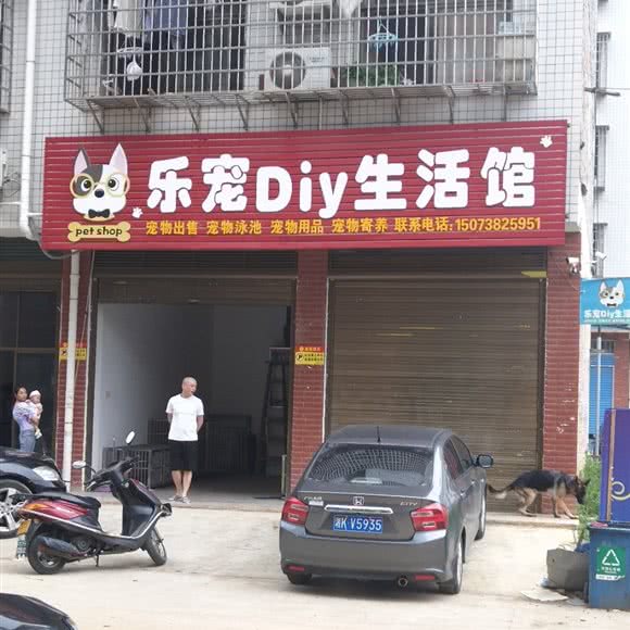 马少宠物店:娄底市娄星区新体育馆附近