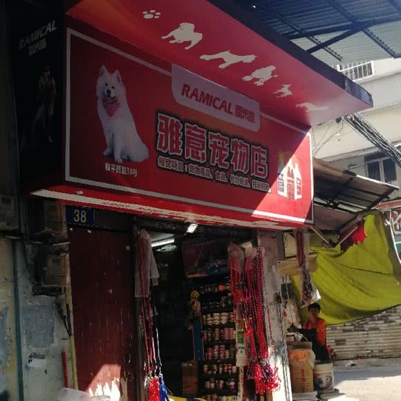 雅意宠物店:广州市荔湾区上下九商业区附近